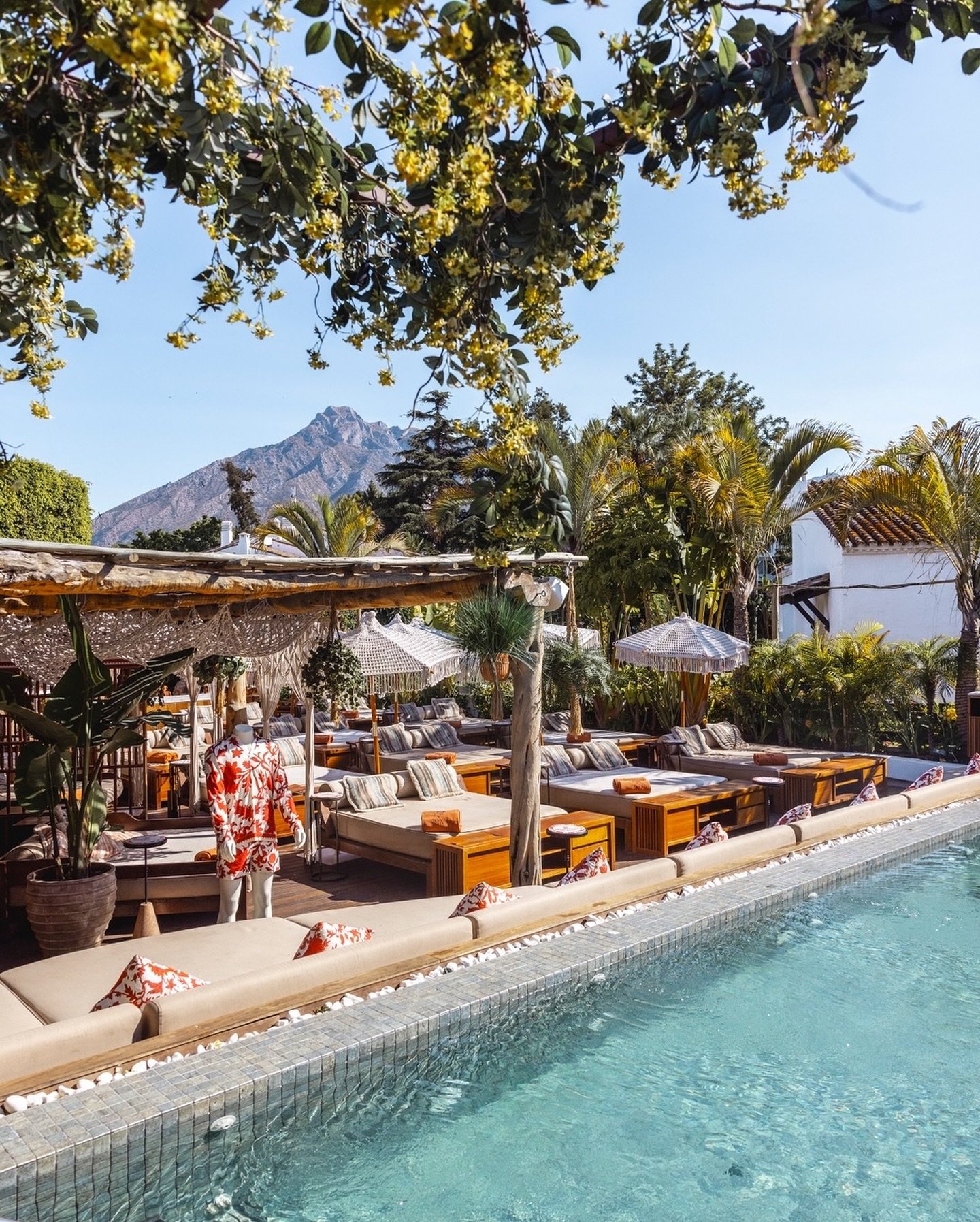 COYA Pool Club Marbella